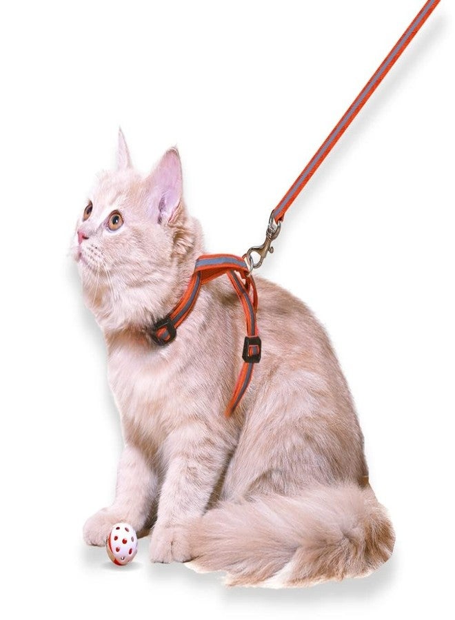 KittuPet طقم سرج ومقود للقطط من KittuPet، مصنوع من النايلون الناعم المقاوم للهروب، قابل للتعديل، مناسب للقطط الصغيرة والمتوسطة والكبيرة، بنقشة دونات زرقاء على شكل مخالب. عبوة من قطعة واحدة. - Image 1